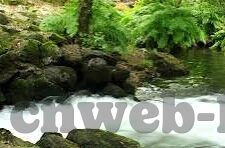 世界杯央视西班牙回放-央视世界杯西班牙经典赛事回放，激情与荣耀的永恒瞬间